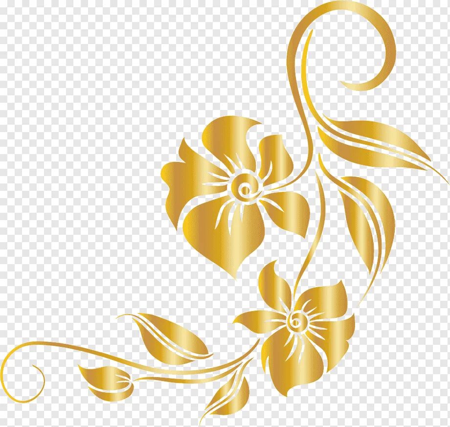 Золотистый пнг. Золотой орнамент. Золотые узоры. Золотые цветы. Узоры и цветы.