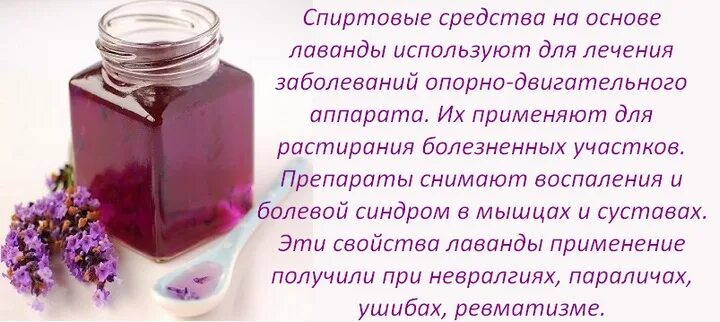 Описание лаванды цветка. Лаванда действие на организм. Аромамасла лаванда. Лаванда действие на организм. Лаванда действие на организм.