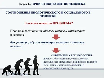 Социальное становление человека видеоурок