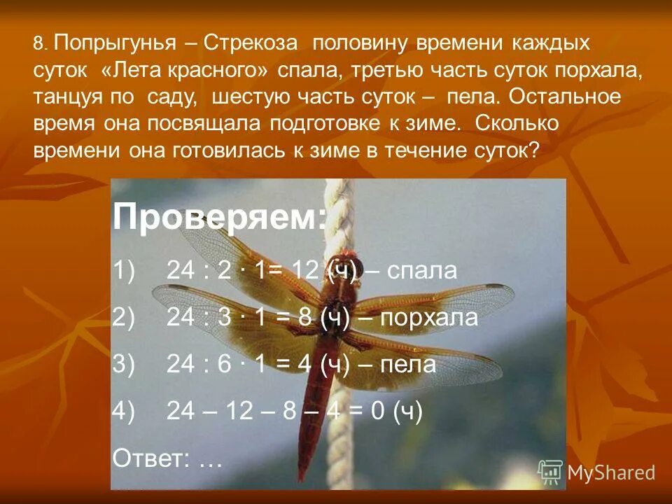 летом стрекоза половину суток. задача про стрекозу. попрыгунья стрекоза стихотворение. части речи попрыгунья. попрыгунья стрекоза лето красное.
