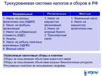 Учет местных налогов и сборов