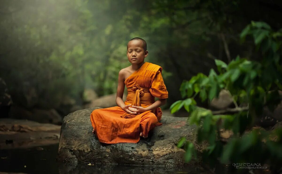 9 детей дзен. Буддийский монах Тхеравада. Тайская медитация. Будда Анапанасати. Буддистский монах Тибет.