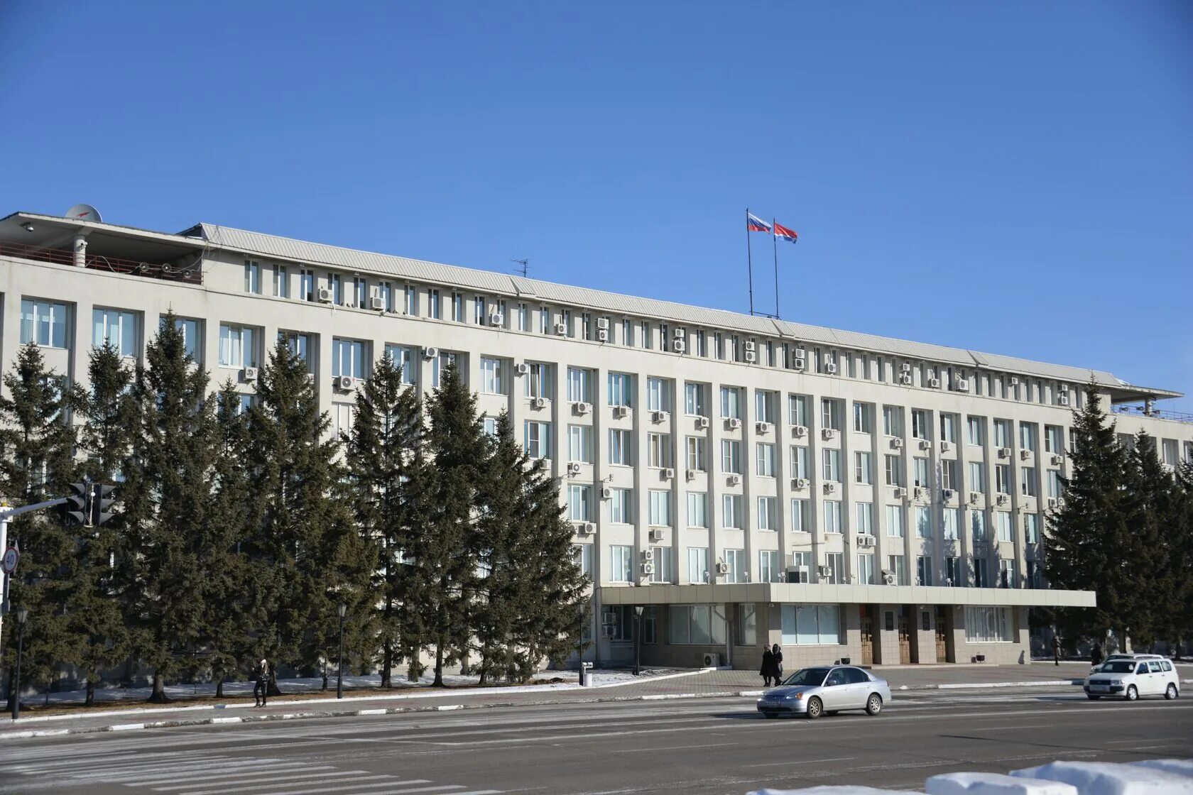 Амурский мсх. Амурский мсх