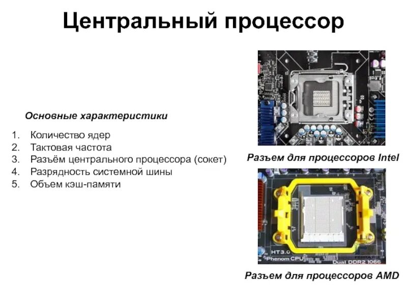 Характеристики процессора Тактовая частота объем памяти.. Характеристики относящиеся к процессору. Основная характеристика процессора Тактовая частота. Частота системной шины процессора. Разрядность тактовая частота