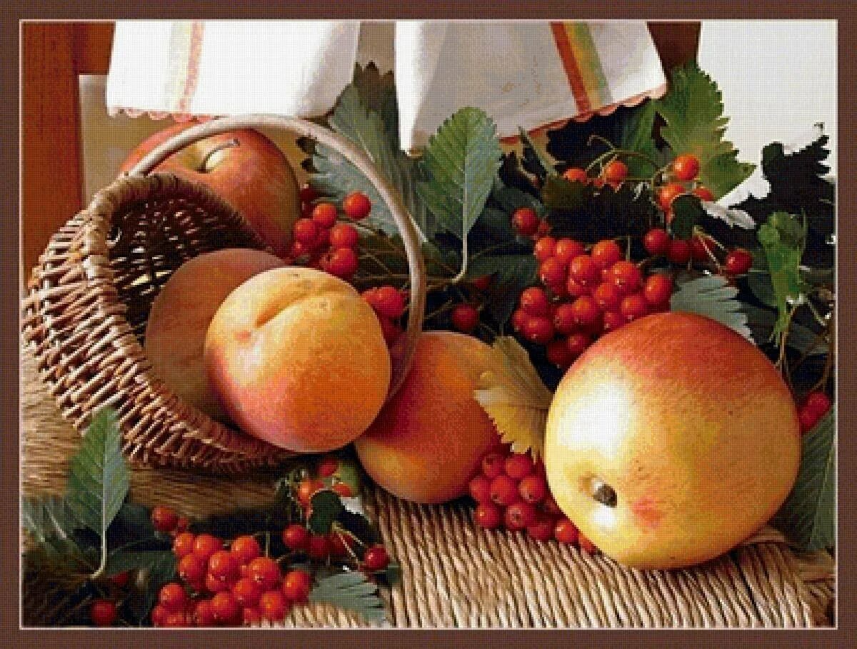 Лето время фруктов. Дары осени. Осенние дары природы. Осенние фрукты. Натюрморт дары природы.