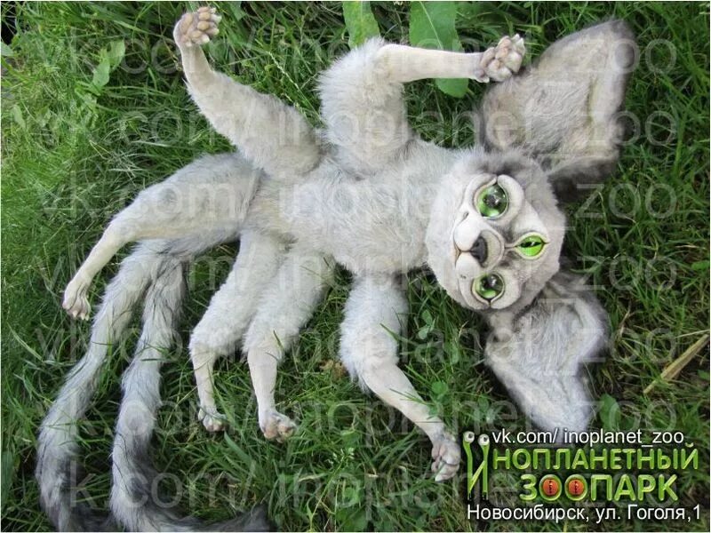 инопланетный зоопарк. музей инопланетных животных. инопланетяне существуют. инопланетянин в зоопарке. инопланетянин с длинными пальцами.