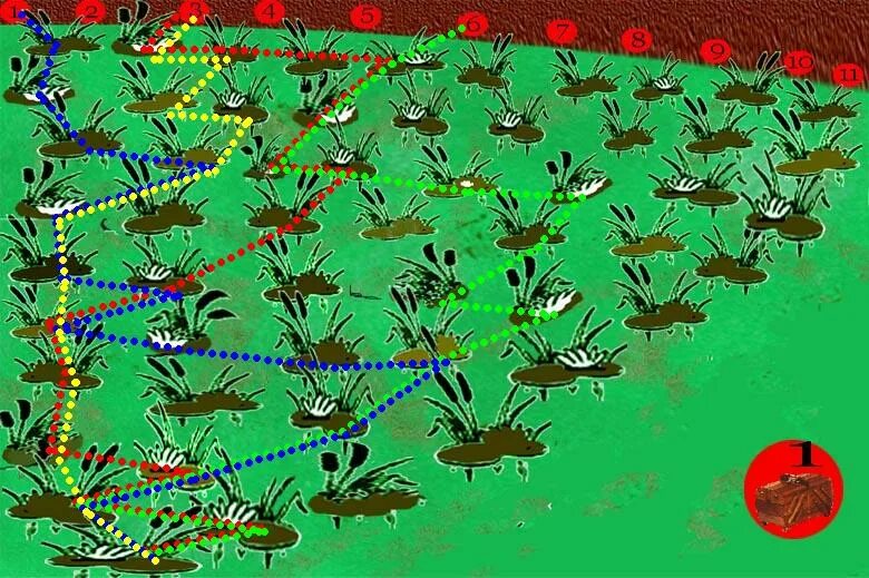 Переправа по болоту. Преодоление болота. Через болото. Сфагновые болота забайкалья. Поход по болоту.