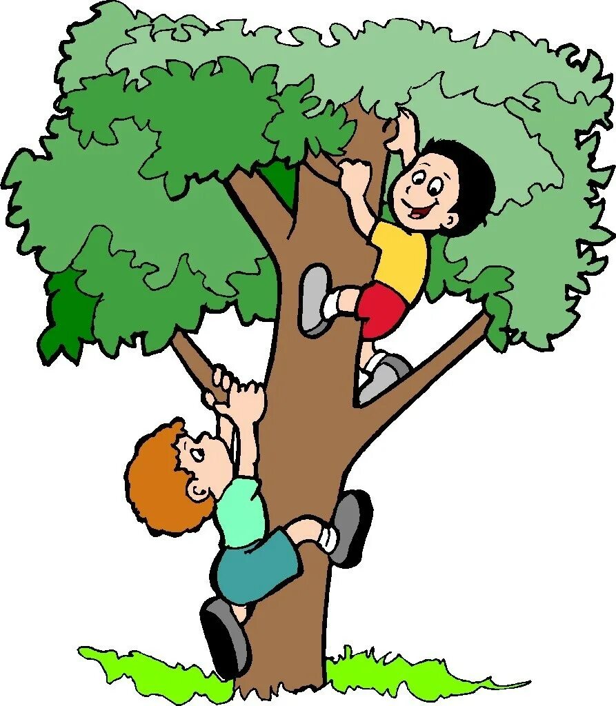Ребенок карабкается. Карабкаться на дерево. Взбираться на дерево. Мультяшка залез на дерево. Can you climb a tree