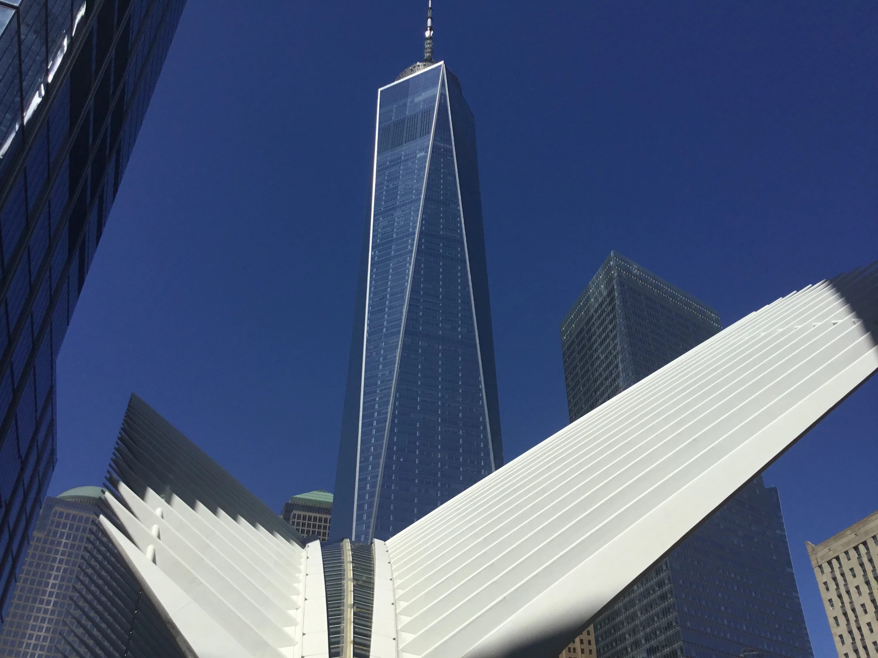 Тойлет товер трейд. Тойлет товер трейд. Пекин небоскребы. Тойлет товер трейд. Битва роботов аренда.