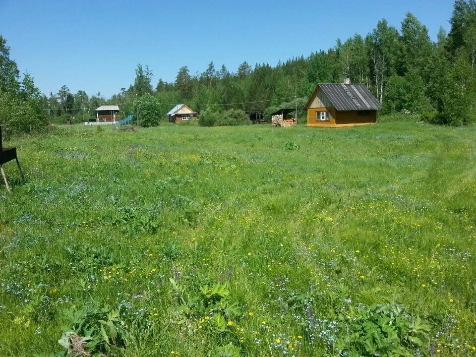 Луговая красноярский край. Озеро Луговое Абанский. Озеро Луговое Абанский район база отдыха. Озеро Луговое Абанский район Красноярский край. Озеро пионерское Абанский район.