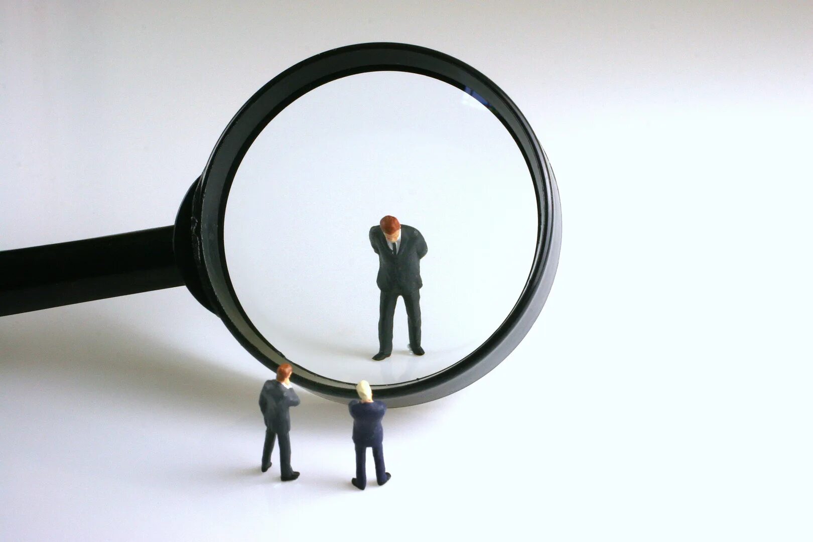 Креативность. Женщина рассматривает фотоальбом. Рассматривают документы. Что то новое и рассматривать. Проверка картинка.