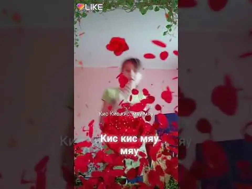 Кей кис кис мяу мяу. Кис мяу мяу. Песня кис кис кис мяу. Кис кис кис мяу от тебя офигеваю.