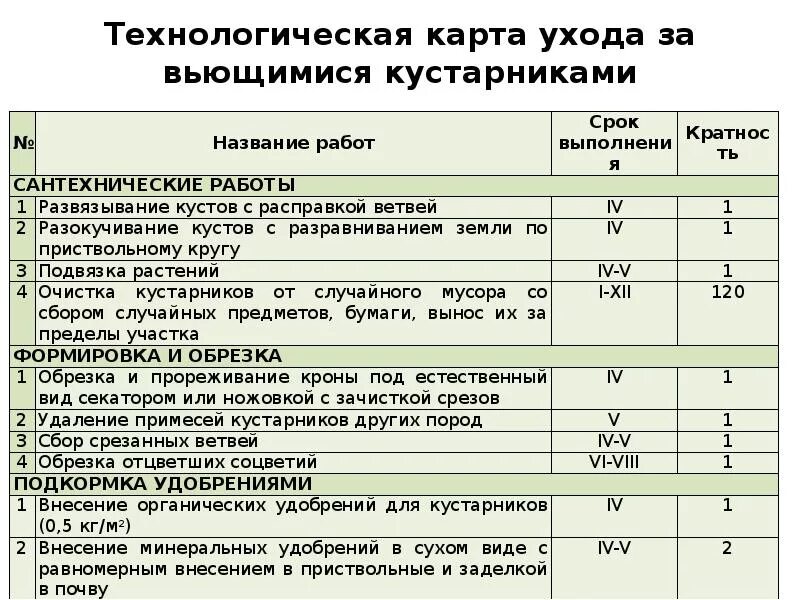 Карту ухаживать. Технологическая карта посадки растений. Технологическая карта по уходу за кустарниками. Технологическая карта посадки кустарников. Технологическая карта по выращиванию растений.