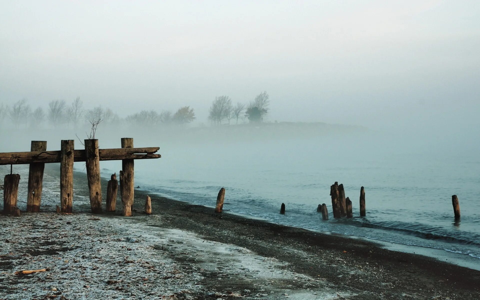 Берег в тумане. Море в тумане. Мрачный залив. Берег реки туман.