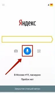 Нажми кнопку алиса