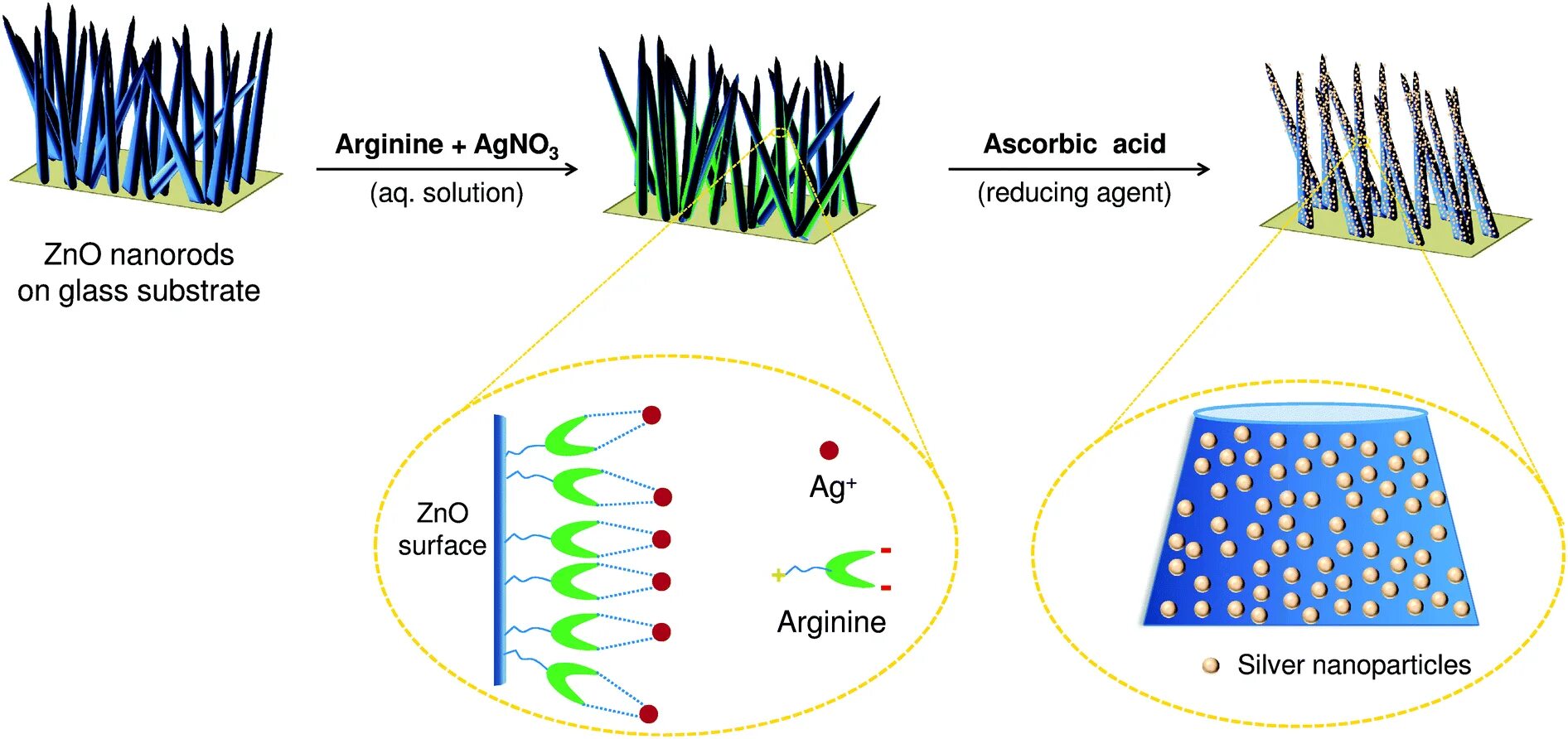 Zno co c. Наночастицы ZNO. Наноструктуры ZNO. Silver Oxide Nanoparticles. ZNO связь схема.