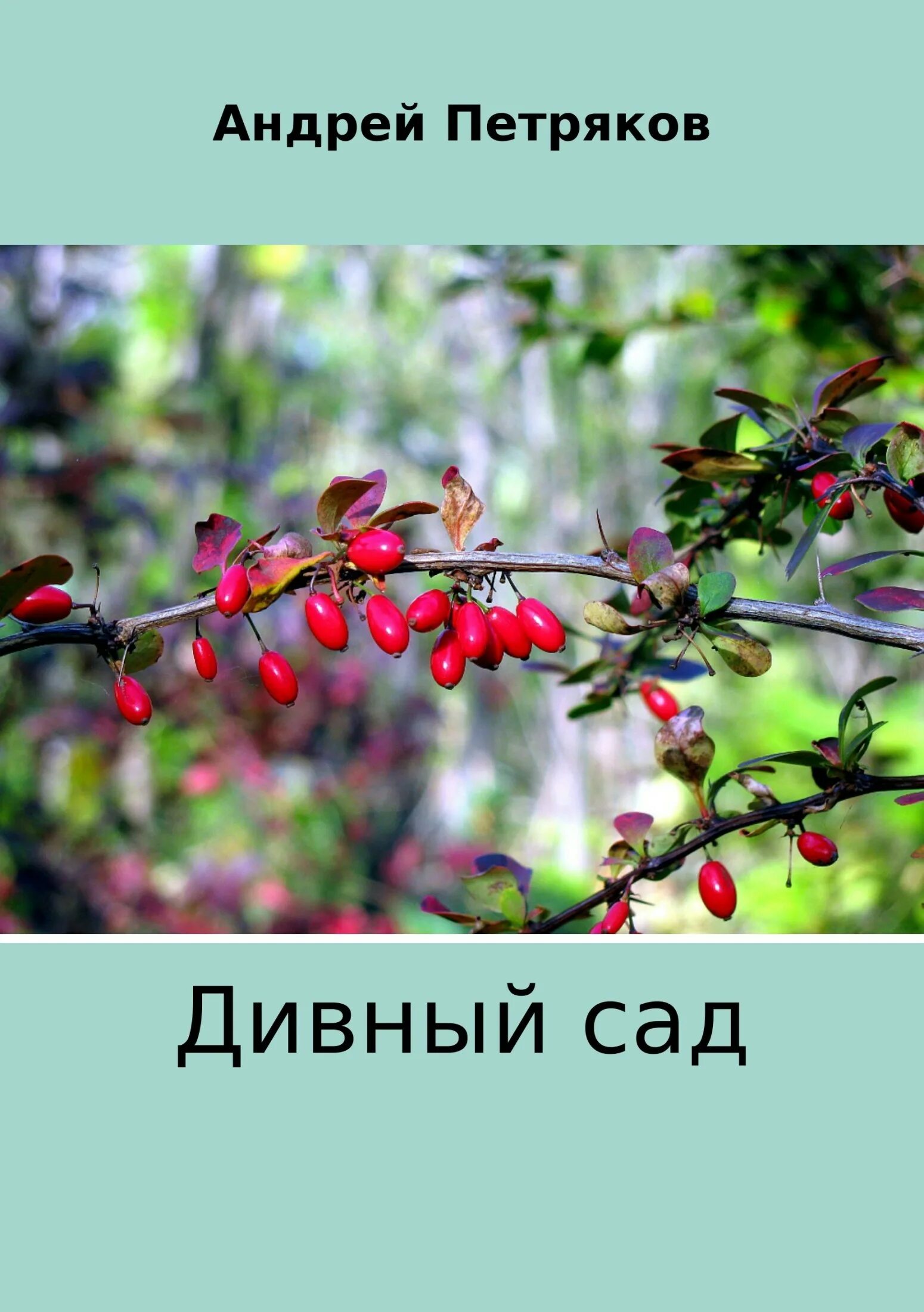 Дивный сад 4. Дивный сад слова. Gardenscapes скриншоты. Книга в саду. Дивный сад игра.