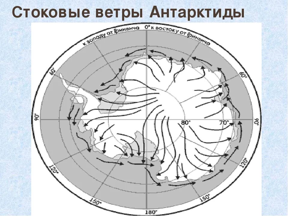 Почему в антарктиде сильные ветра. Направление стоковых ветров в Антарктиде на карте. Направление стоковых ветров в Антарктиде. Схема образования стоковых ветров Антарктиды. Стоковые ветры Антарктиды.
