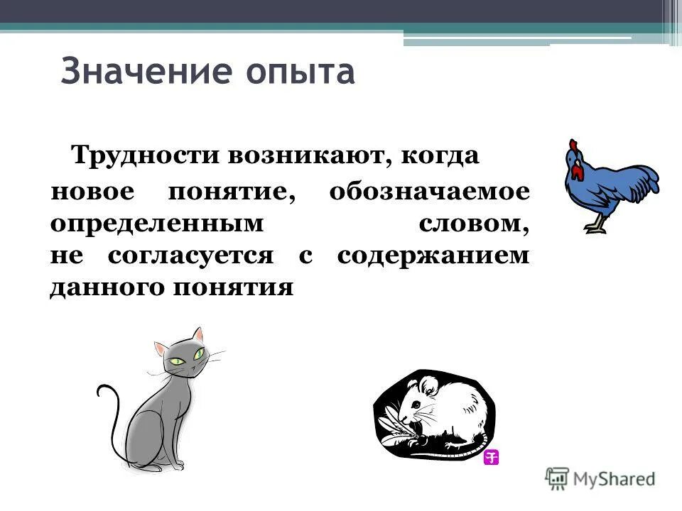 Значение слова опыт. Опыт в продажах. Что значит опыт. Значение эксперимента. Компоненты социального опыта.
