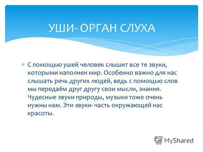 Интересные факты о глазах. Интересные факты о органах чувств. Интересные факты об органах чувств 3 класс. Интересные факты о работе органов чувств. Строение и работа органов чувств человека 3.