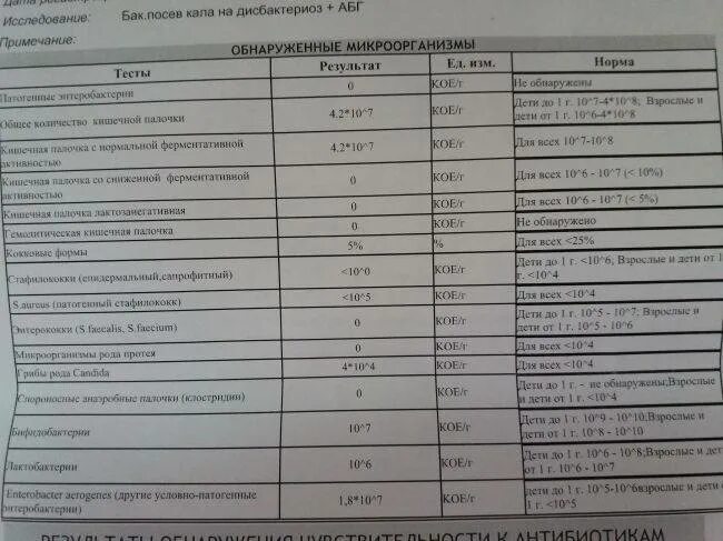 Кдл дисбактериоз. Бак посев кала норма. Бак посев кала Результаты. Бак исследование кала норма. Бак посев кала и бактериологическое исследование кала.
