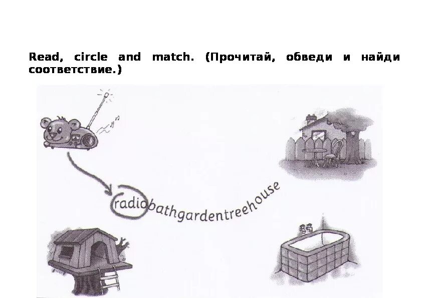 Read and circle. Read and Match перевод. Read circle and Match. Как переводится read and circle.