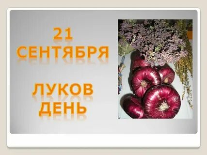 Луковый день