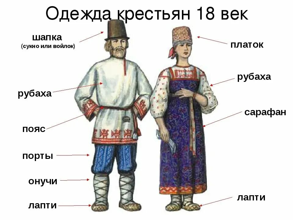 Как выглядит горожанин