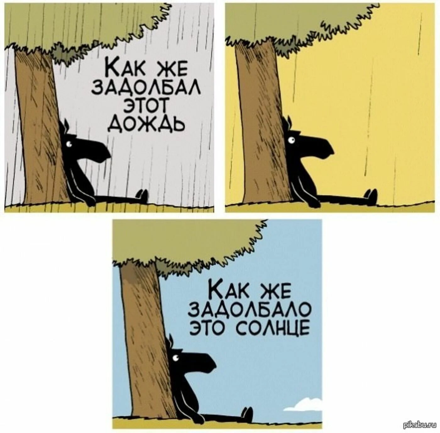 Шутки про вечно недовольных людей. Нытик прикол. Открытки задолбал этот дождь. Шутки про недовольных.