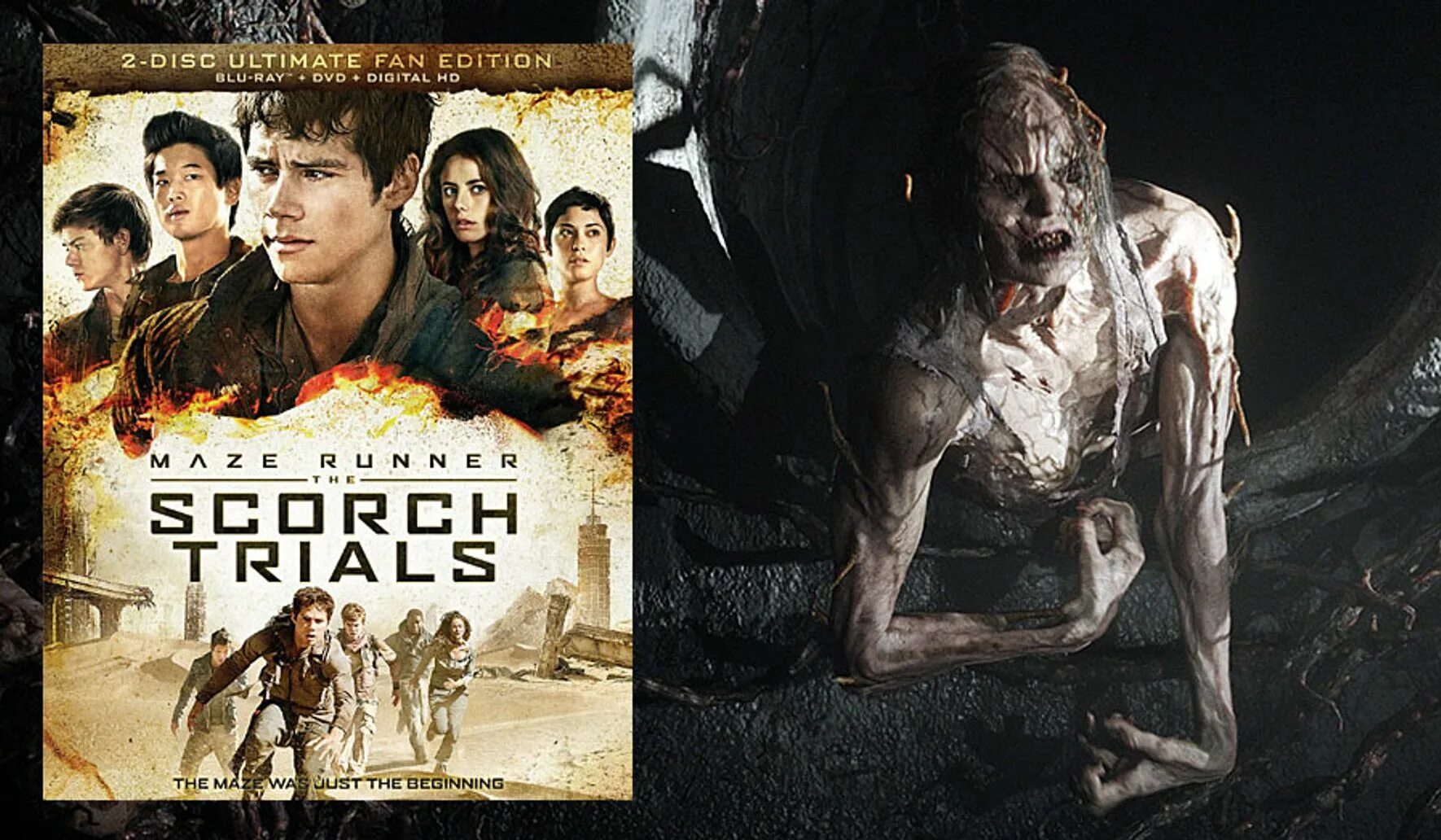 Maze runner 2. Maze Runner the Scorch Trials. The Maze Runner Scorch Trials надпись. Maze Runner 2: the Scorch Trials книгаэ.