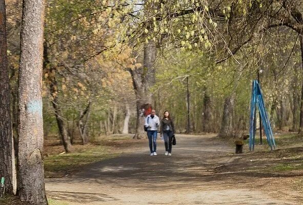 Парк зеленая роща фото