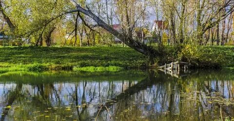 Баташевский сад фото