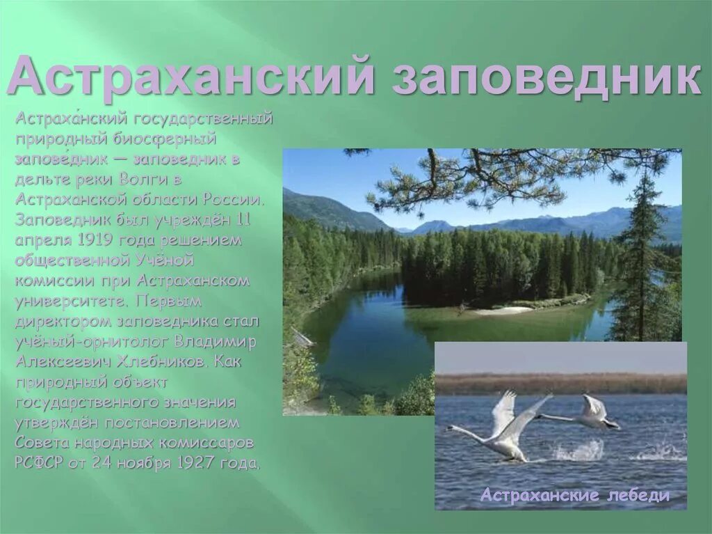 Заповедники россии доклад 8 класс. Заповедник. Заповедники России. Сообщение о заповеднике. Заповедники презентация.