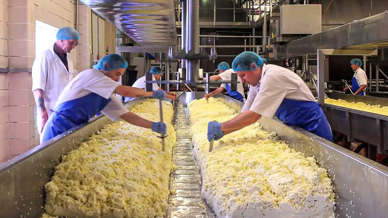 В Кремле признали успешной программу импортозамещения продуктов - РБК