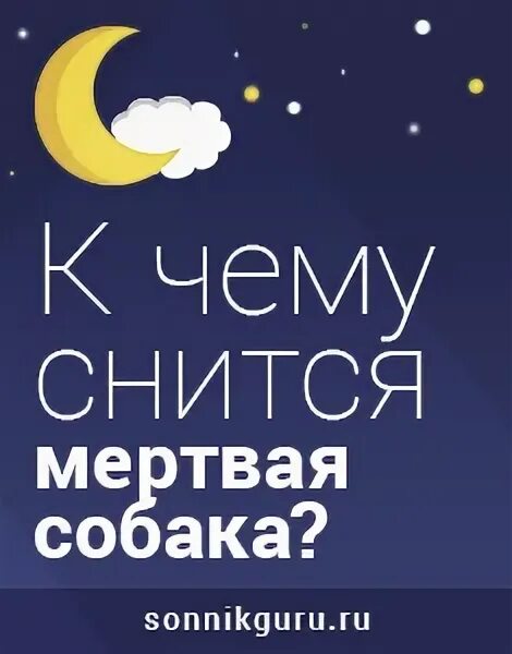 Мертвые собаки во сне к чему