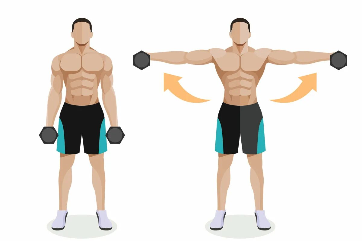 Подъем рук с гантелями. Махи с гантелями стоя на среднюю дельту. Махи с гантелями стоя техника. Подъем гантелей через стороны стоя. Дельта средняя с гантелями стоя.