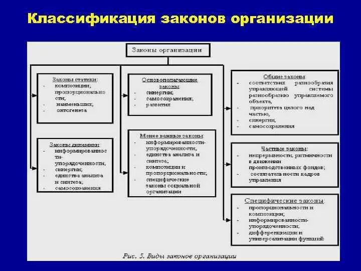 Общественные организации закон рф. Классификация законы организации в менеджменте. Закон развития общий закон организации. Классификация законов организации. Взаимосвязь законов организации.