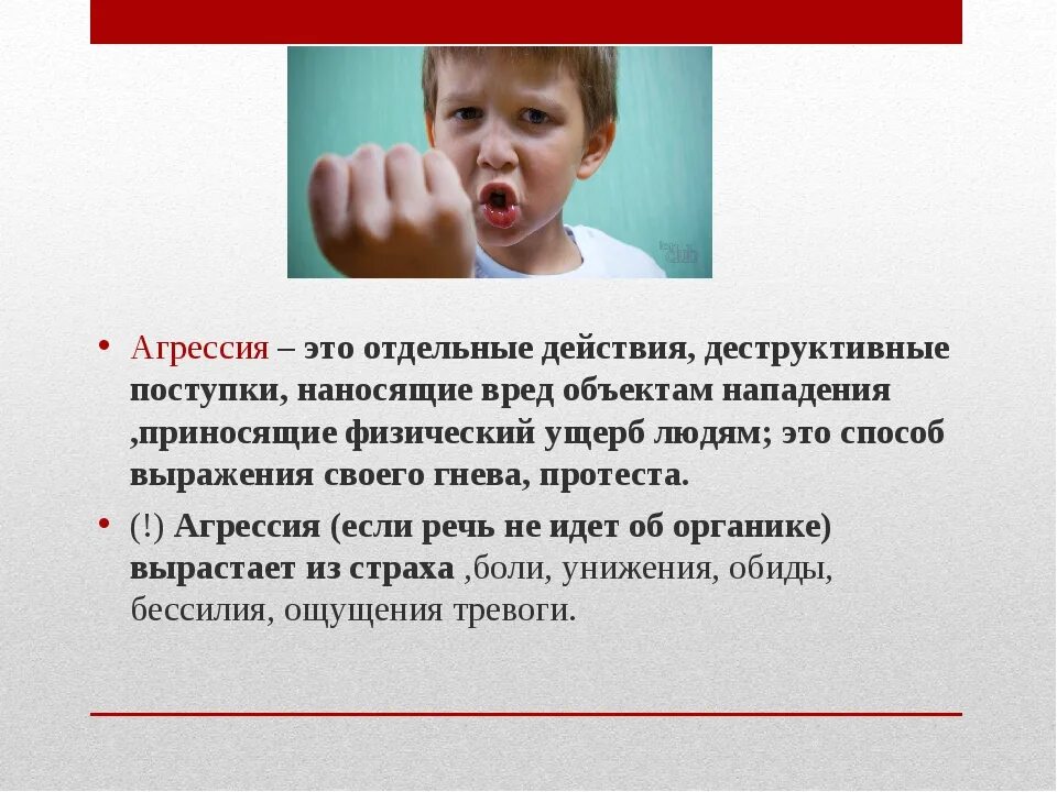 Агрессивное нападение. Агрессия. Страх и агрессия. Агрессия людей. Агрессивный.