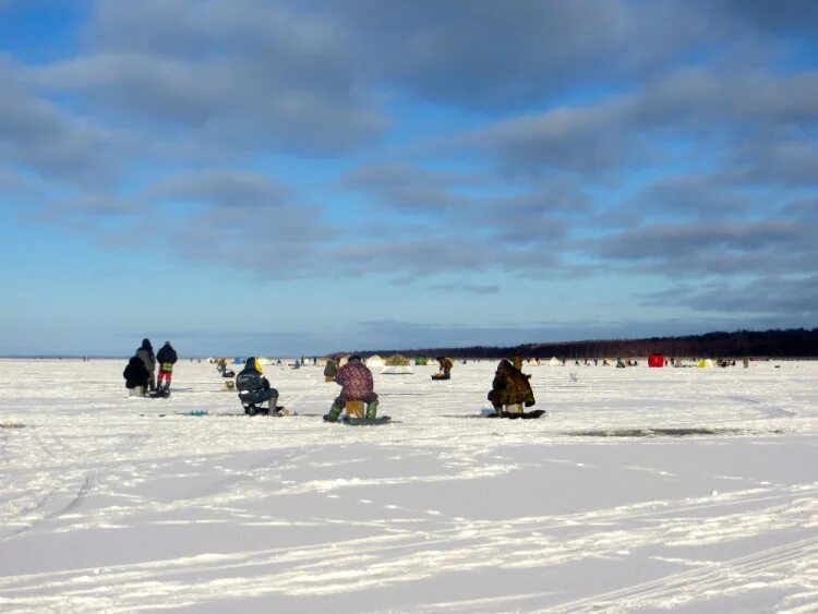 деревня луда архангельской области. луда северодвинск. деревня уна - унская губа. погода в луде. деревня тамица онежский район.