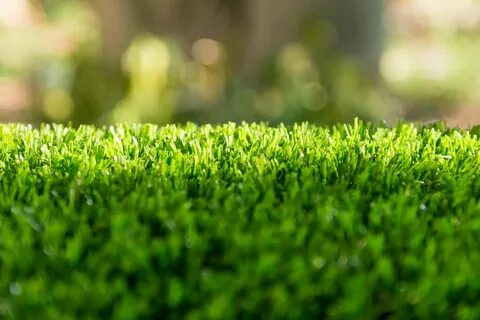 Grass covered