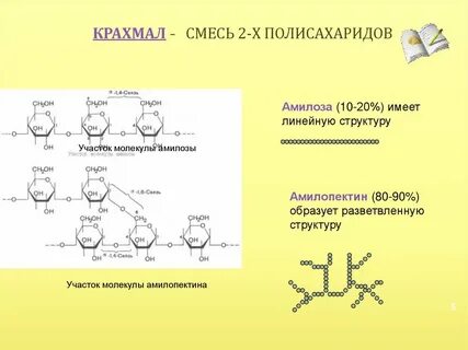 Состав крахмала