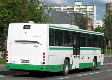 Голаз