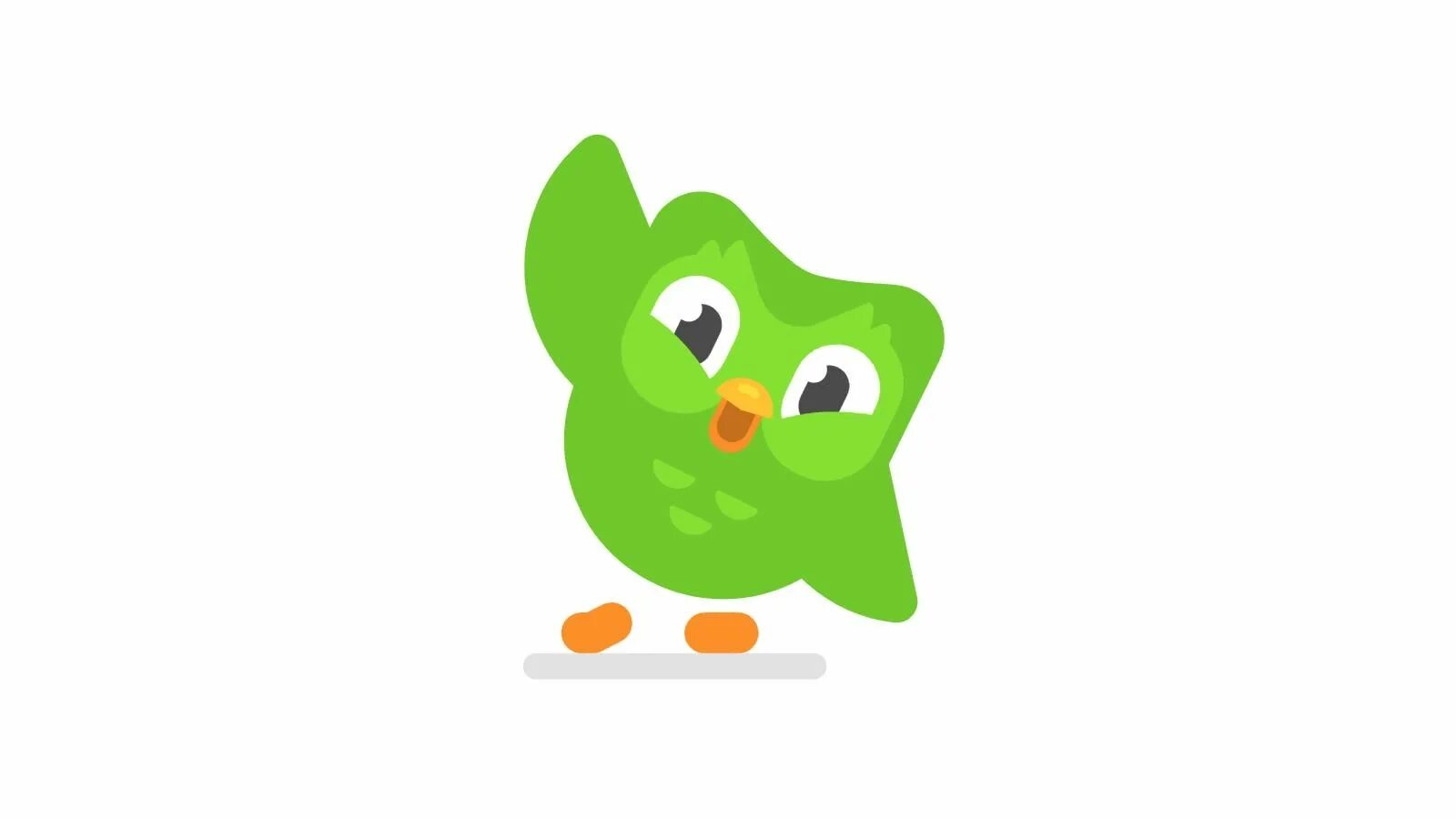 Зеленая Сова Дуолинго. Дуолинго дуо. Совенок доулинго. Duolingo логотип. Зеленая сова английский