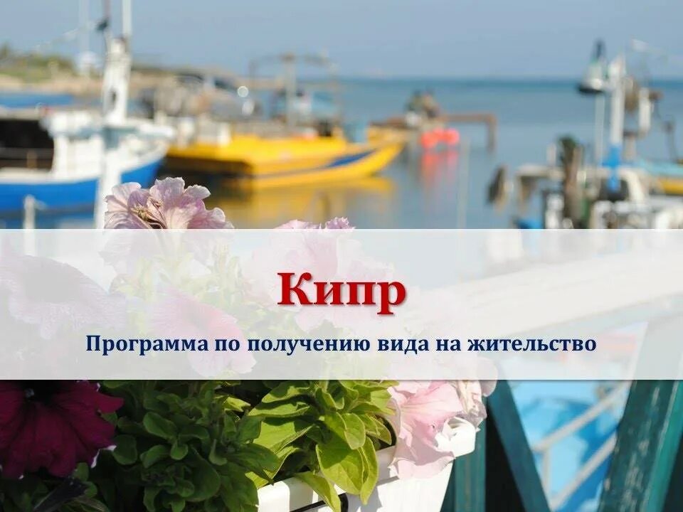 Зарегистрировать на кипре