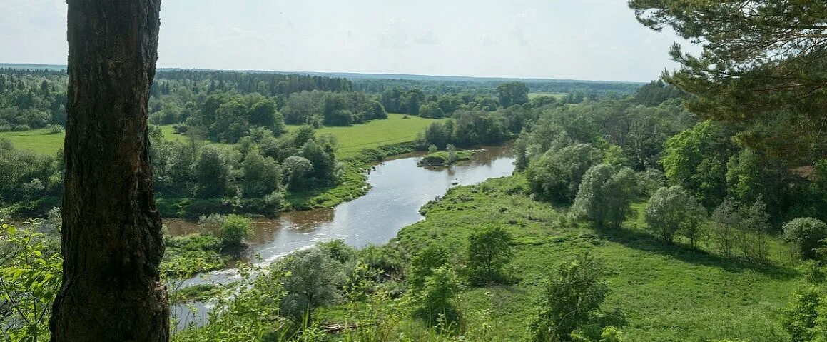 Заякинская Кедровая роща Удмуртии. Памятники природы Удмуртии. Гора Вукогурезь Удмуртия. Кедровая роща в Заякино Удмуртия. Природные достопримечательности удмуртии