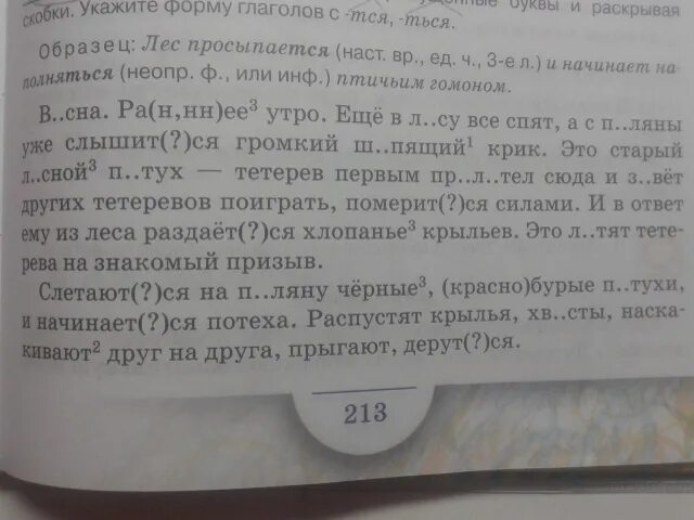 Спишите вставьте пропущенные окончания глаголов. Укажи формы глаголов вставь буквы. спиши текст раскрывая скобки и вставляя пропущенные буквы. спиши текст вставляя тся ться. спишите спишите вставляя в глаголы ться и ться.