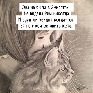 Ей просто не с кем оставить кота., №2491027211, 8 августа 2022 в 22:17.