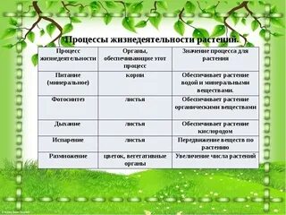 Процессы жизнедеятельности животных и растений пример Рассмотрите явление изображенное на рисунке как ученые биологи называют это явле