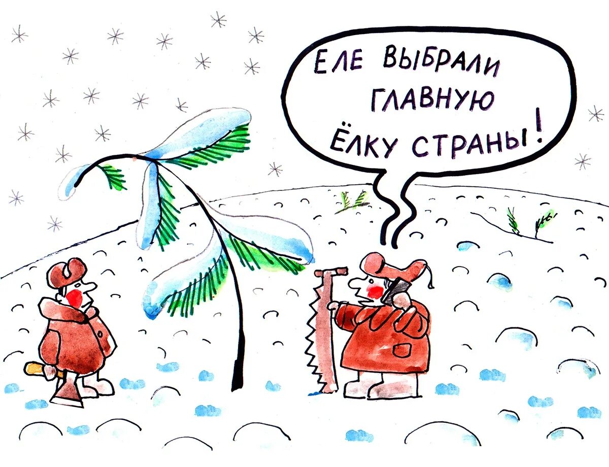 Вынеси елку да вынеси елку анекдот. Вынеси елку анекдот. Анекдот про елку вынеси елку. Выносит елку.