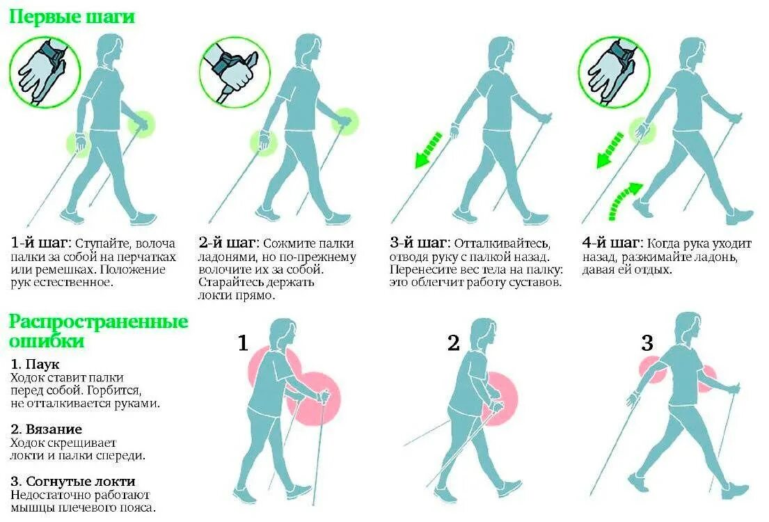 Облегчить ходьбу. Скандинавская ходьба с палками техника. Как правильно ходить с палками для скандинавской ходьбы. Как правильно ходить скандинавской ходьбой. Скандинавская ходьба техника ходьбы для начинающих.